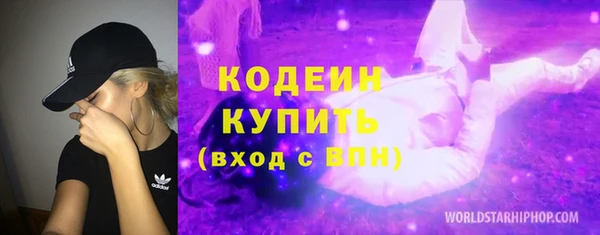 стафф Снежногорск