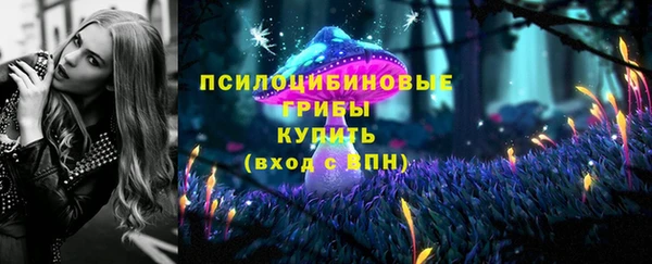дурь Володарск