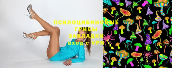 spice Волоколамск