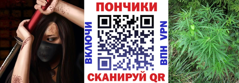 Марихуана OG Kush Купить где Омутнинск